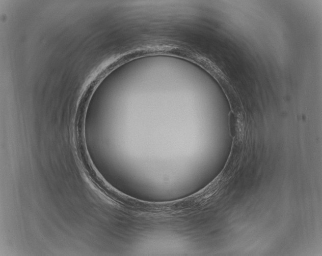 X0000072510726200607140911