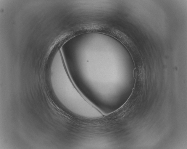 X0000072510731200607140911
