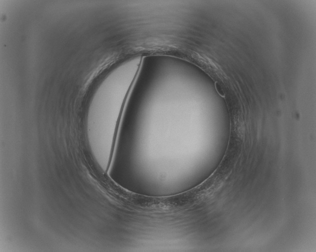 X0000072510735200607140911
