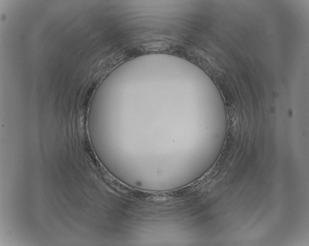 X0000072510745200607140912
