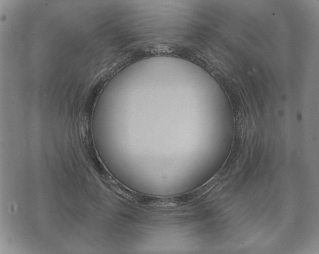 X0000072510747200607140912