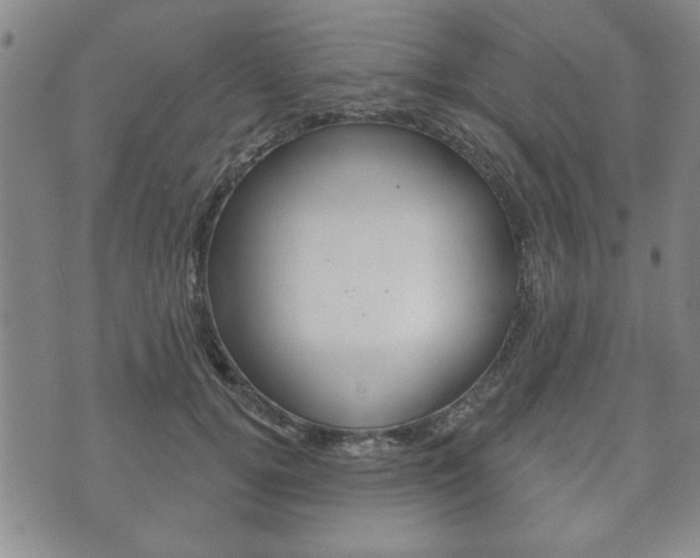 X0000072510752200607140912