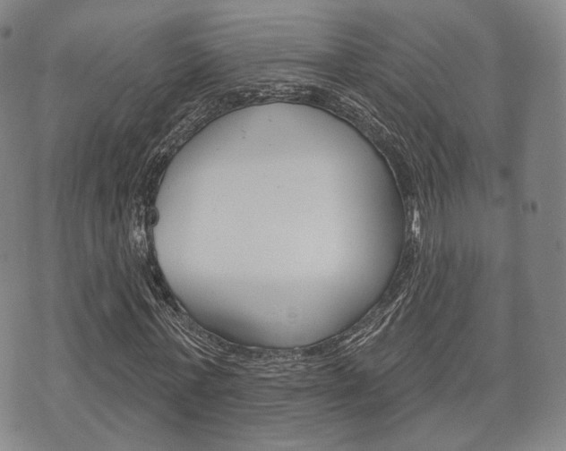 X0000072510771200607140911