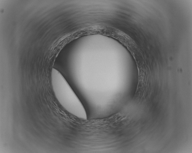 X0000072510773200607140911