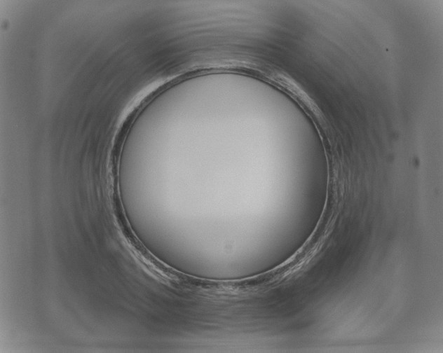 X0000072510787200607140911