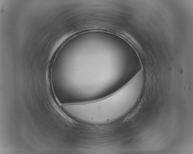 X0000072510788200607140911