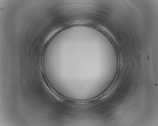 X0000072510794200607140911
