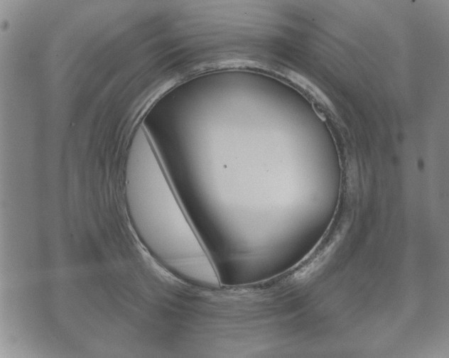 X0000072510801200607140911