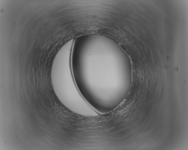 X0000072510818200607140910