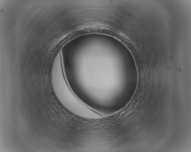 X0000072510822200607140910