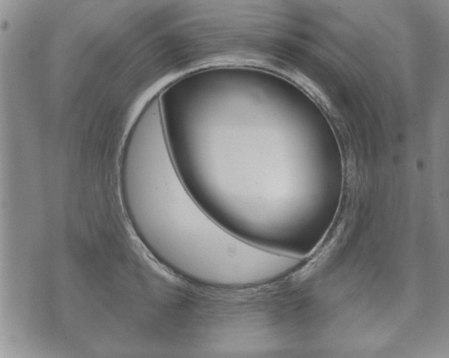 X0000072510854200607140910