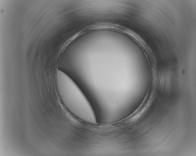 X0000072510857200607140910