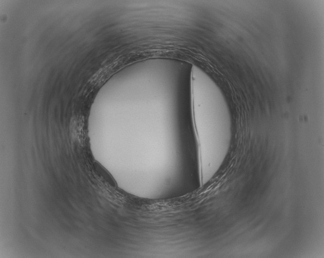 X0000072510867200607140910