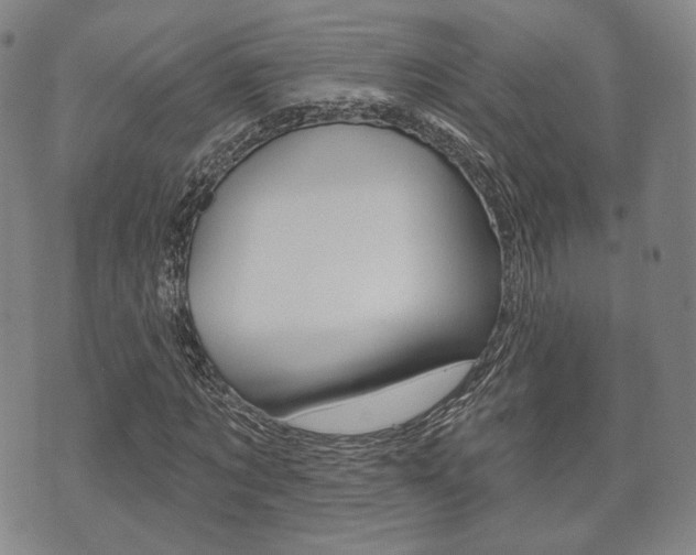 X0000072510869200607140910