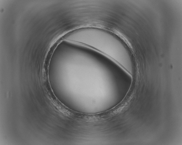 X0000072510876200607140909