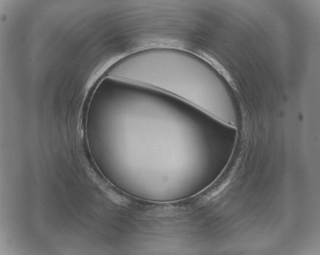 X0000072510885200607140909