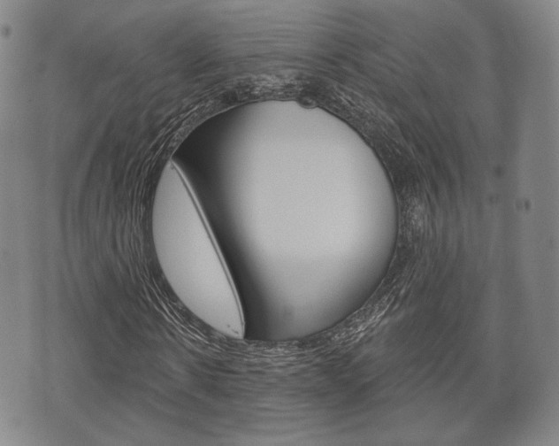 X0000072510914200607140908
