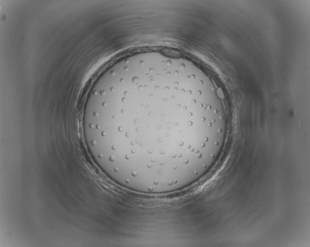 X0000072510925200607140908
