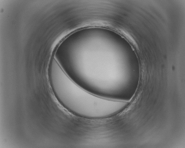 X0000072510944200607140909