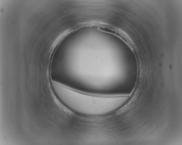 X0000072510946200607140909