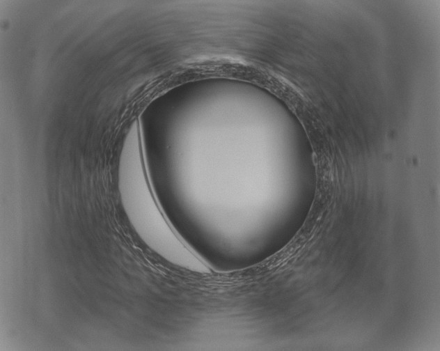 X0000072510965200607140908