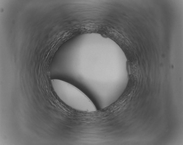 X0000072511009200607140907