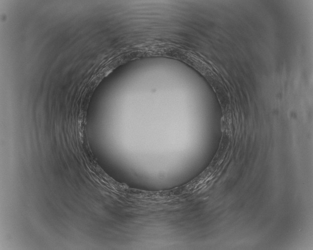 X0000072511010200607140907