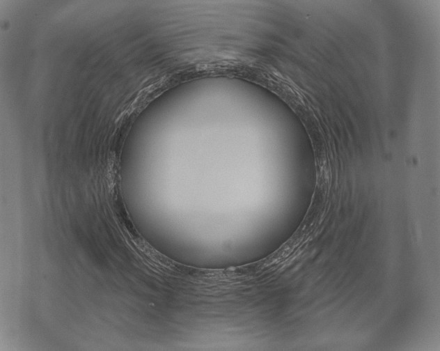 X0000072511012200607140907