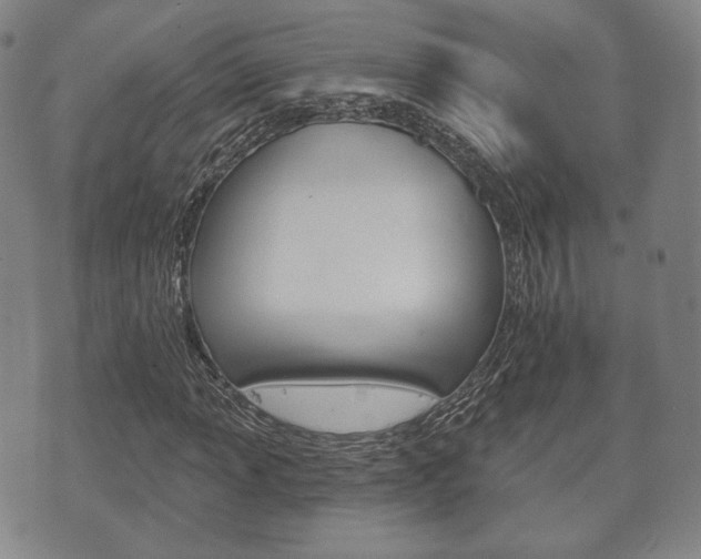 X0000072511013200607140907