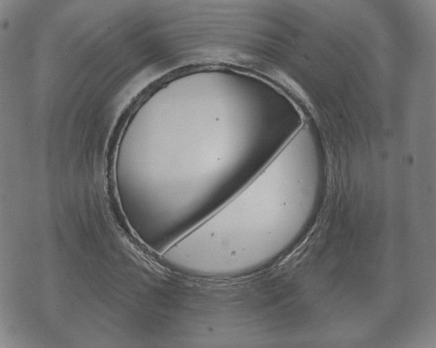 X0000072511020200607140907