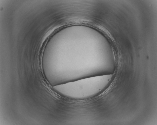 X0000072511023200607140907