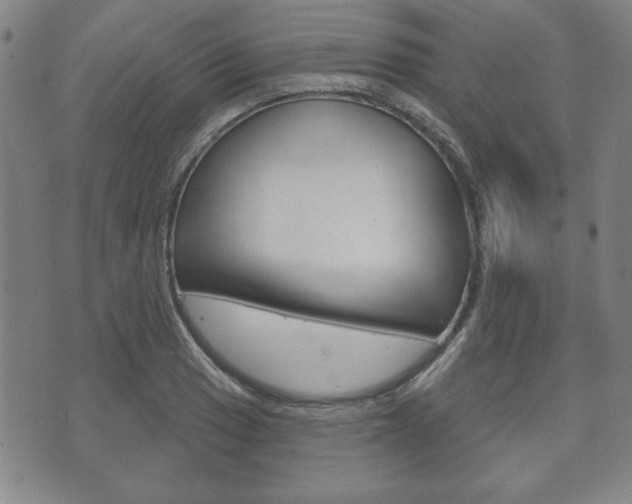 X0000072511033200607140907