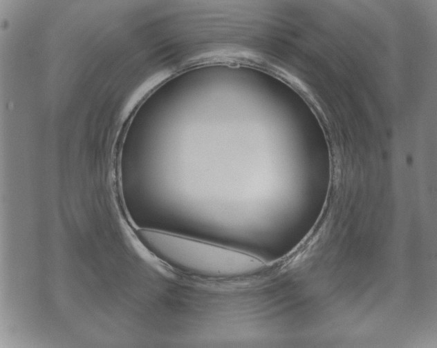 X0000072511042200607140907