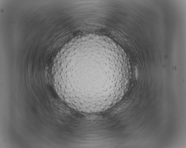 X0000072511059200607140906