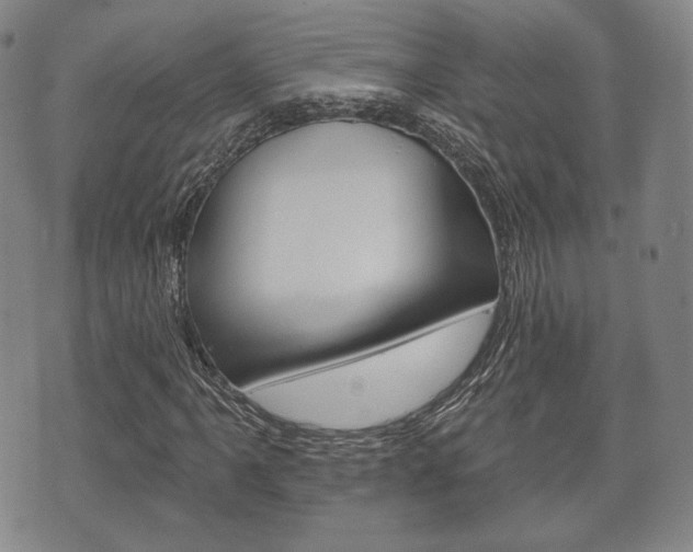 X0000072511061200607140906