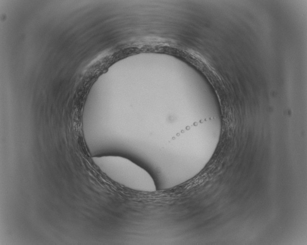 X0000072511063200607140906