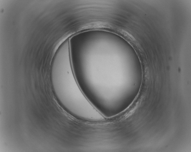 X0000072511081200607140906
