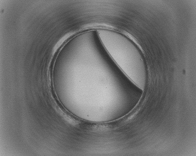 X0000072511082200607140906
