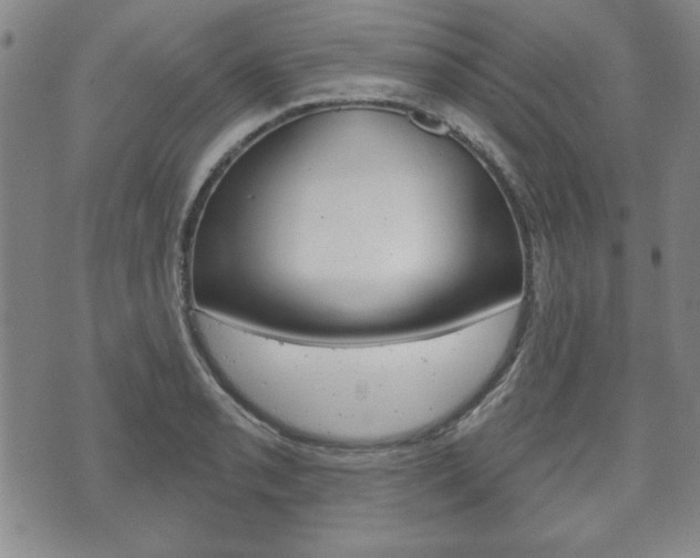 X0000072511085200607140906