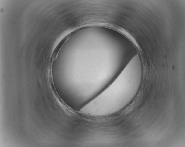 X0000072511101200607140906