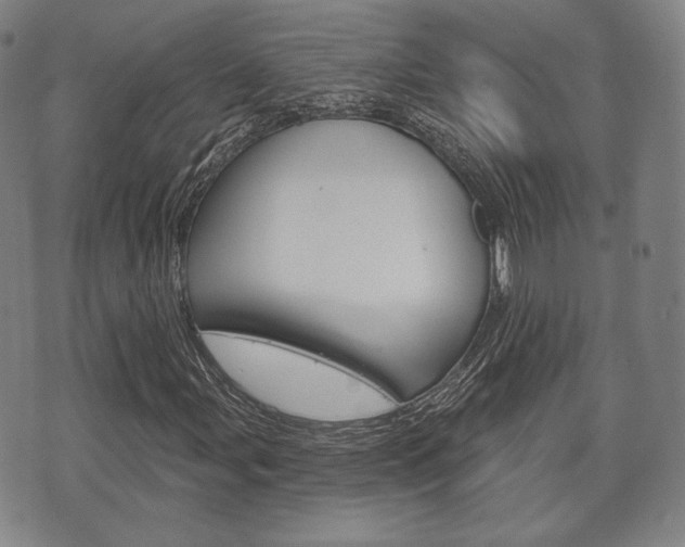 X0000072511107200607140905