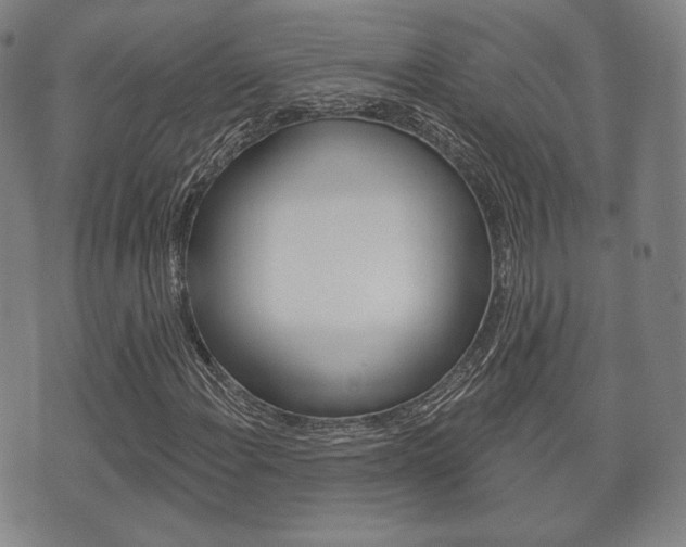 X0000072511108200607140905