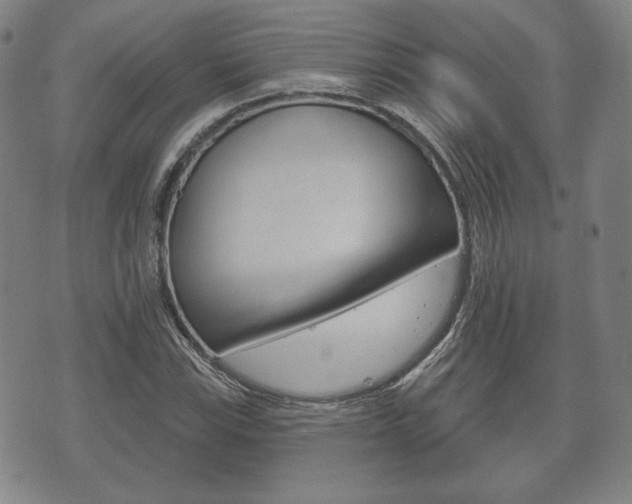X0000072511115200607140905