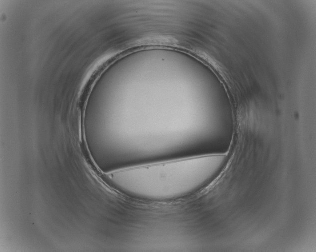 X0000072511123200607140905