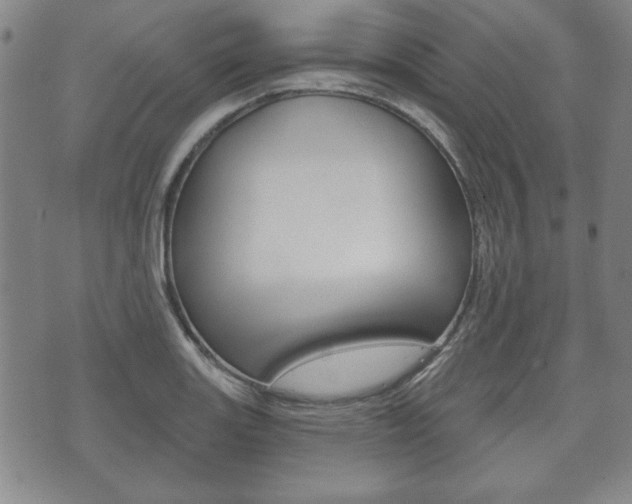 X0000072511131200607140905