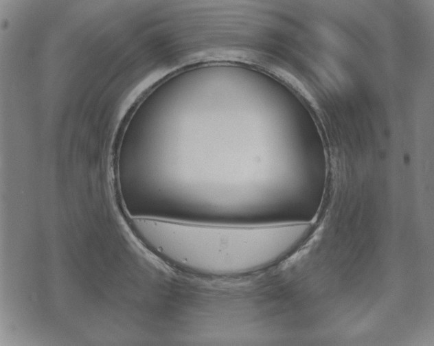 X0000072511133200607140905