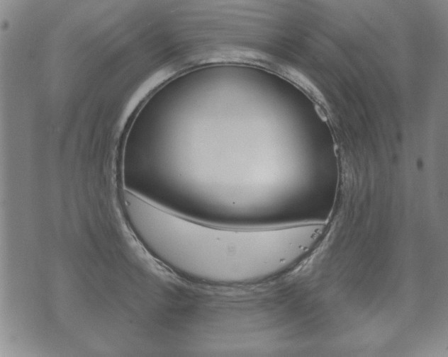 X0000072511138200607140905