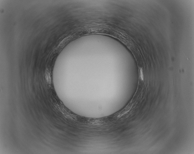 X0000072511155200607140905