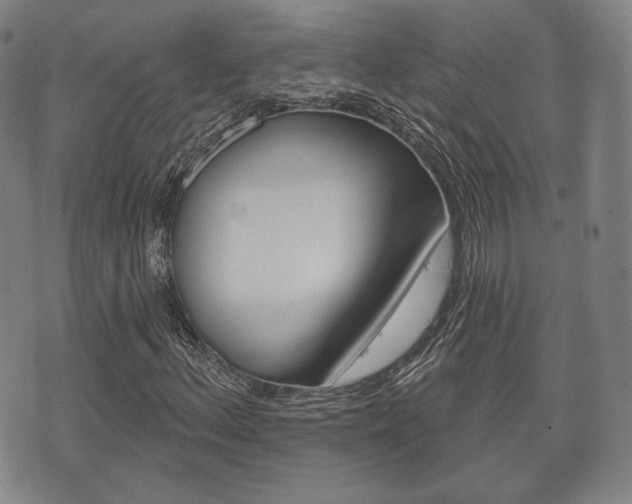 X0000072511156200607140905