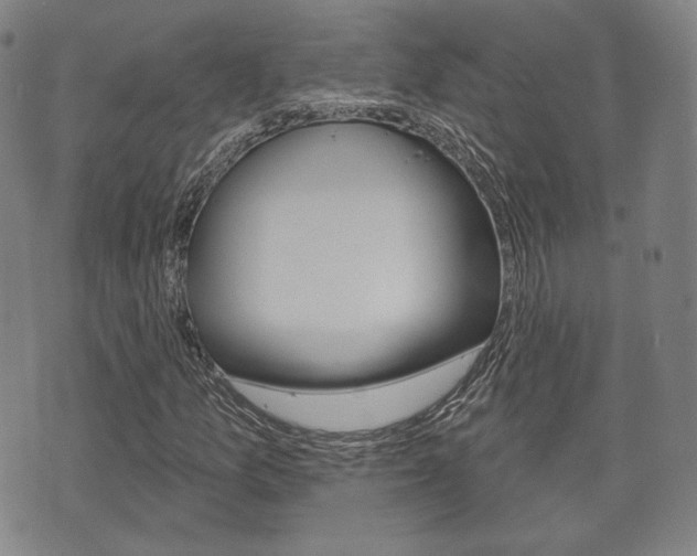 X0000072511157200607140905